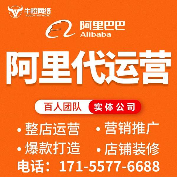 西安电商代运营