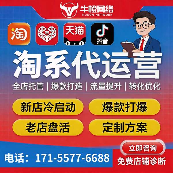 西安电商代运营