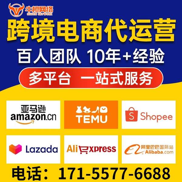 西安电商代运营