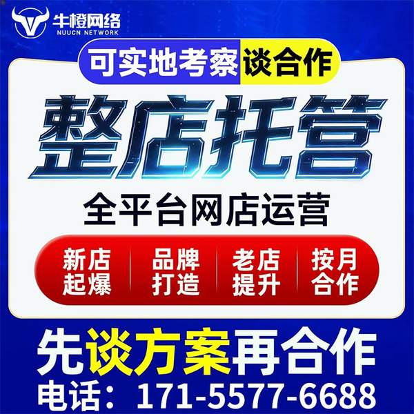西安电商代运营