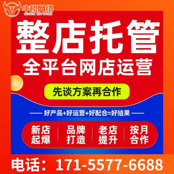 西安电商代运营