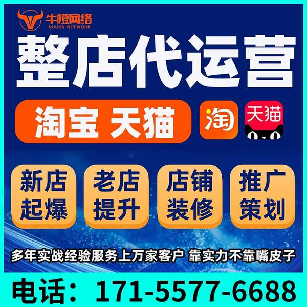 西安电商代运营