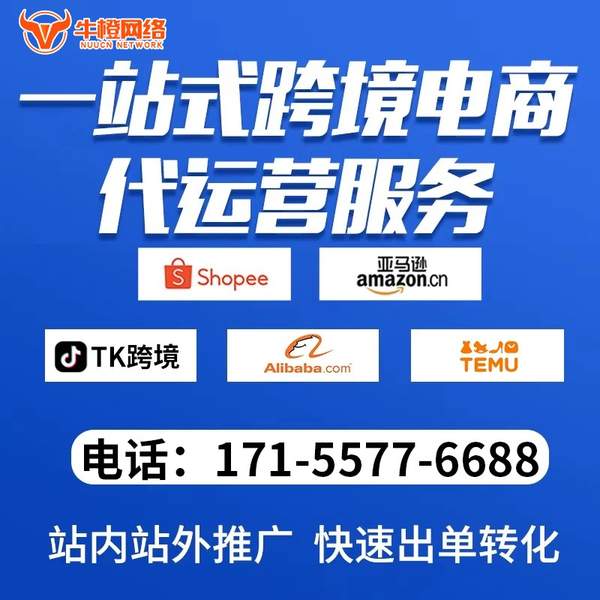西安电商代运营