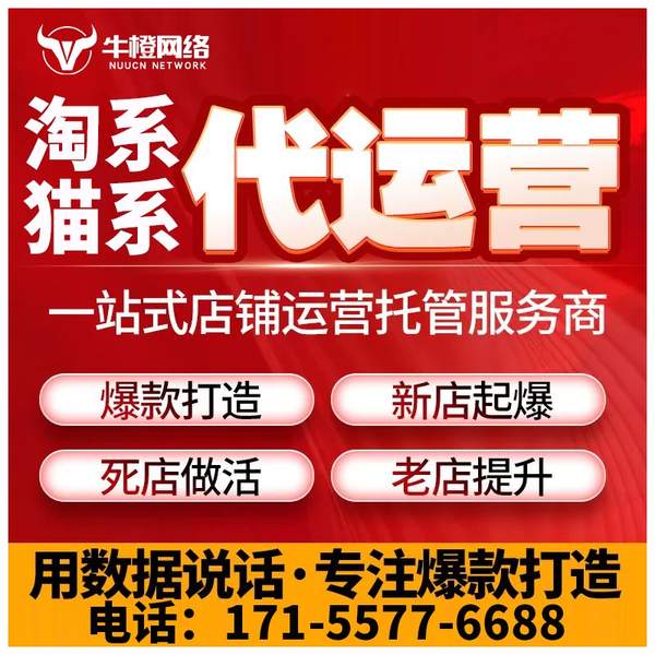 西安电商代运营